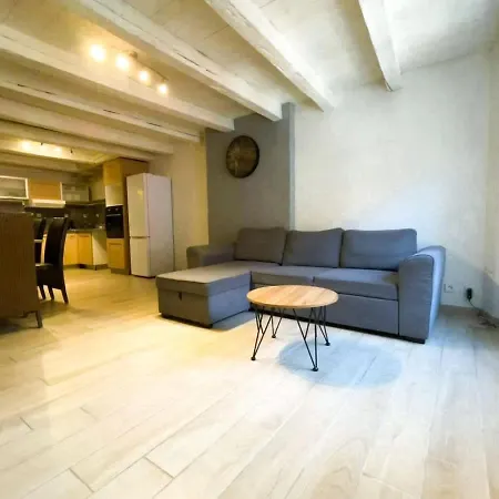 Le Rochois, T3 Au Centre - Ideal Pour Famille Ou 2 Couples לה רוש-סור-פורון