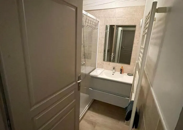 Apartment Le Rochois La Roche-sur-Foron